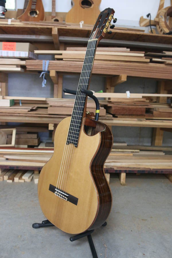 Guitar